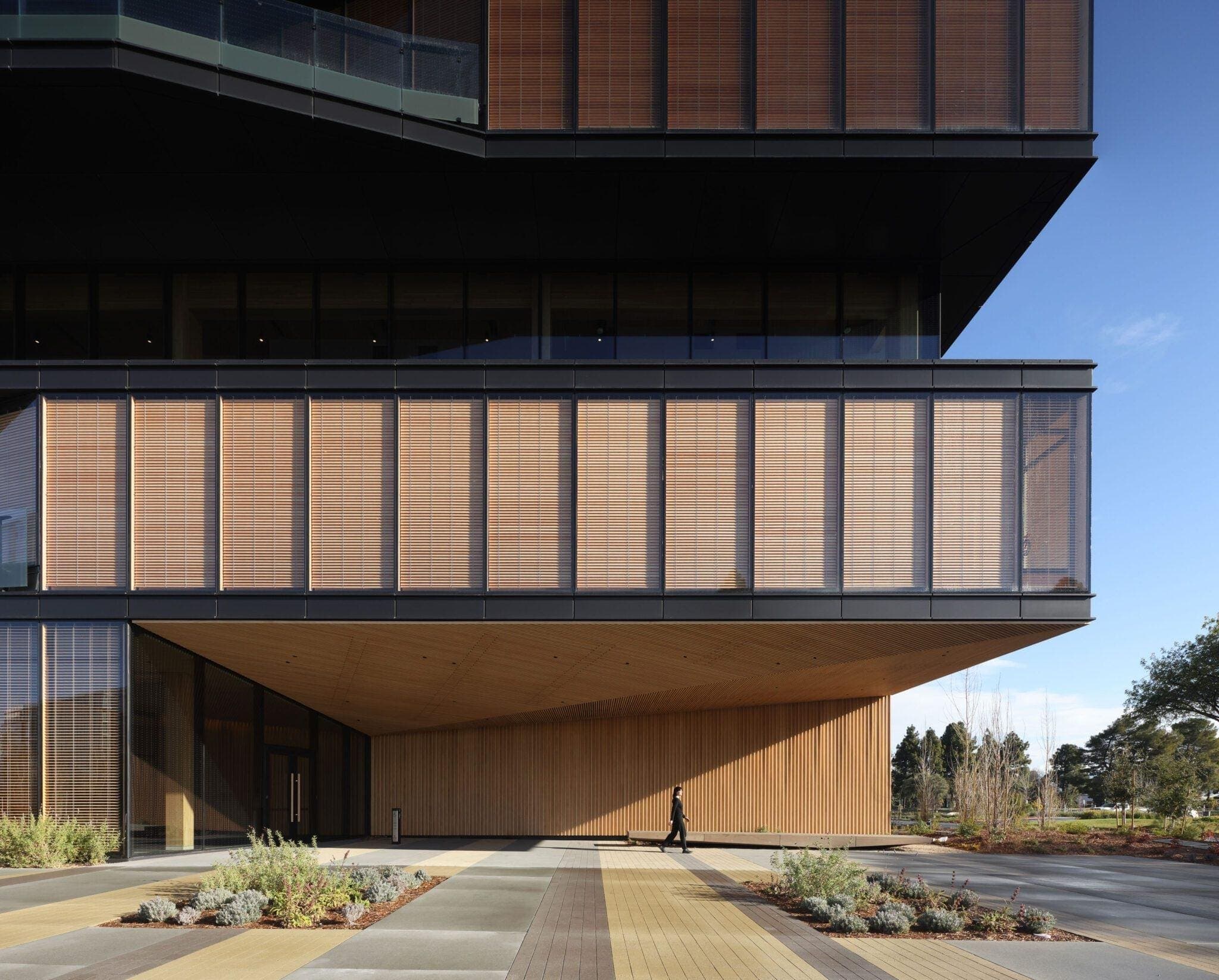 Going Against The Grain With Mass Timber Structures